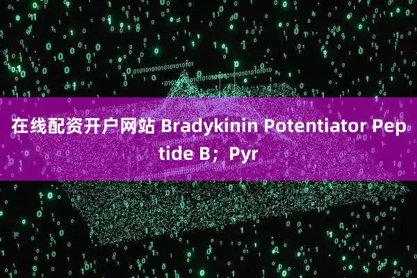 在线配资开户网站 Bradykinin Potentiator Peptide B；Pyr