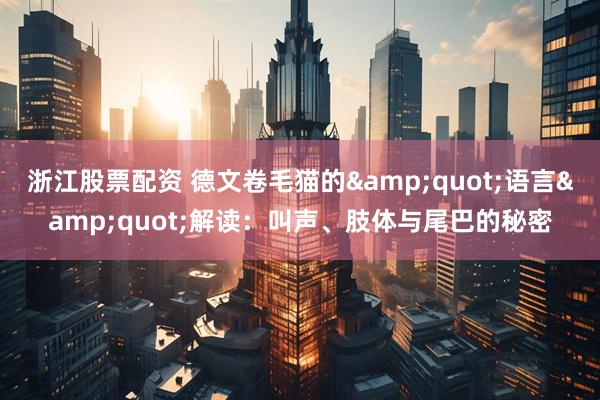 浙江股票配资 德文卷毛猫的"语言"解读：叫声、肢体与尾巴的秘密