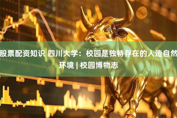 股票配资知识 四川大学：校园是独特存在的人造自然环境 | 校园博物志
